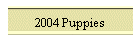 2004 Puppies